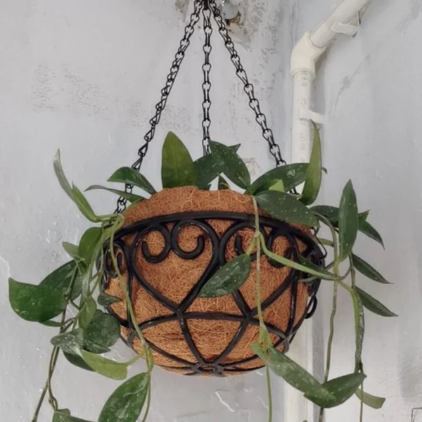 Round Iron Chain Hanging Basket Flowerpot